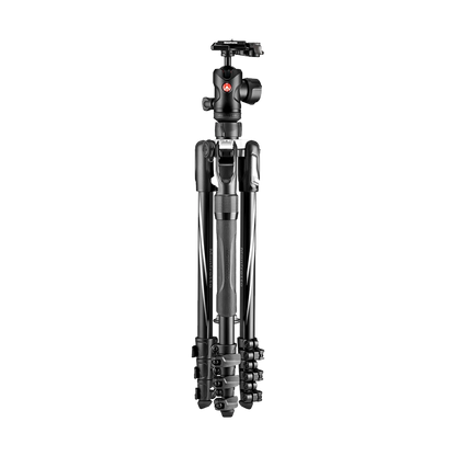Manfrotto Befree 2N1 Aluminium Tripod with 494 Ball Head (Lever Lock)